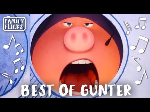 Best Of Gunter (Nick Kroll) | Sing (2016) and Sing 2 (2021) | Family Flicks