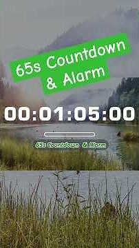 01:05s 🔔 65 Second COUNTDOWN with Tick Tock Sound Every Second and Alarm for 10s - No Loop
