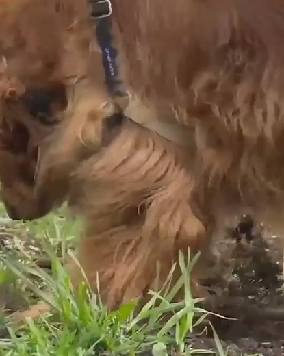 Mike Joy NASCAR Jokes and Abducted Teams at Restart