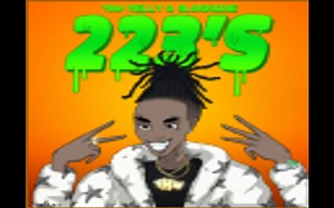 223's combozZ (完整版)