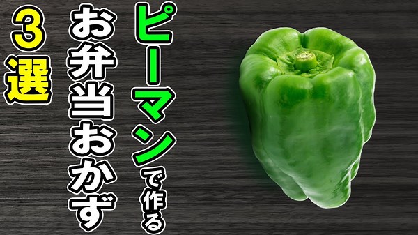 ピーマンで作る簡単お弁当おかず3選 冷めても美味しい節約レシピ