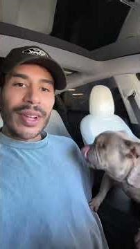 Sable first chemo session done and she seems pretty happy