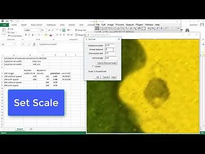 How to add scale bar in ImageJ