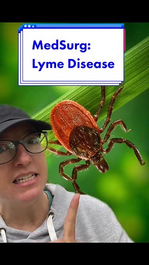 Understanding Lyme Disease: Key Information for Nursing Students