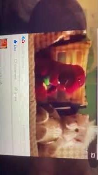 Barney’s Great Adventure Custom Intro