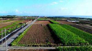 沖縄のサトウキビ畑を空撮