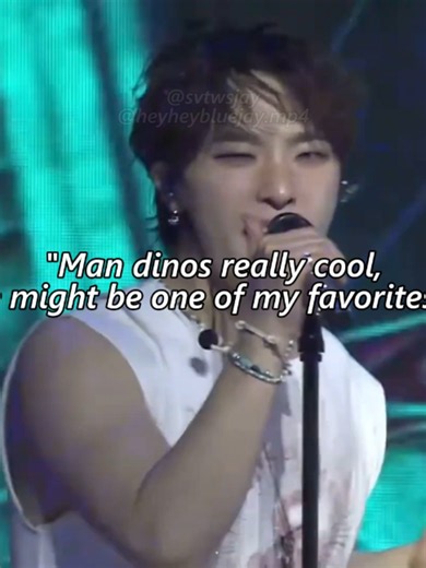 Seventeen real names and zodiac signs — Woozi & Dino explained