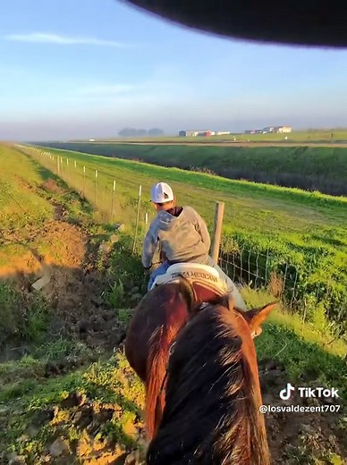 How To Ride A Horse: A Beginner's Guide