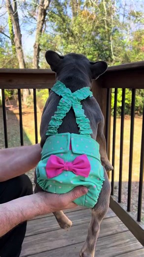Our Comfortable, escape-resistant diaper covers for French Bulldogs, English Bulldogs, and Boston Terriers are handmade with premium washable cotton fabric. Wephies Diapers feature a soft, four-layer absorbent flannel lining at the crotch, they offer exceptional comfort. These diapers have NO TAIL HOLE and include elastic suspenders and sturdy Velcro waistbands to ensure a secure, adjustable fit. For optimal hygiene and fewer washes, we recommend using them alongside a long panty liner, female p
