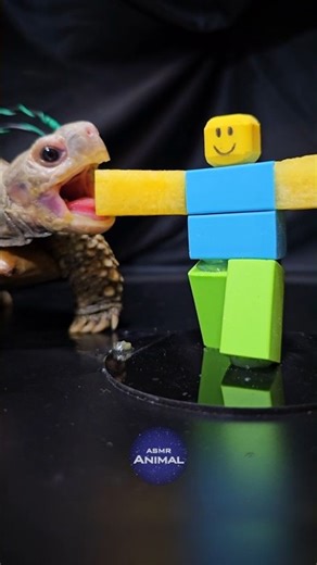 Roblox ASMR Mukbang Eating NOOB ✋