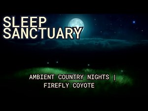 Nature Ambience: Ambient Country Night And Coyote Howl
