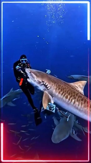 Why Scuba Divers Never Hold Their Breath 🤿⚠️