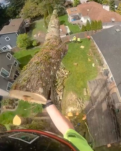 357K views · 229 reactions | Join us in the flipping of this maple log! | MetDaan DIY | Facebook