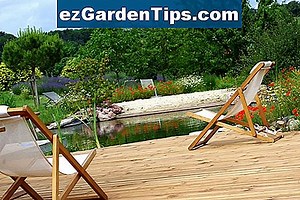 Noms des plantes qui vivent dans les prairies 🌱 Conseils Jardiniers - Fr.ezGardenTips.com