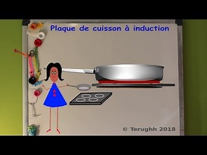 Plaque de cuisson à induction (12/2018)