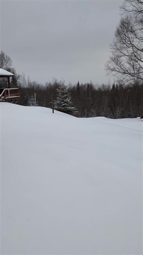 My decision is final, get my 20 for the club! | Robert Beaulieu