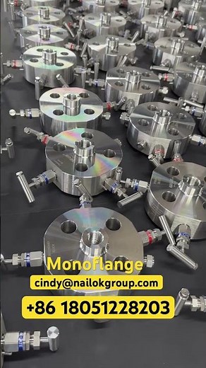 DBB super-duplex steel 2507 monoflange #oilandgas #pipefitting #nailok #alloy #flange #valve #oil