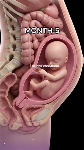 How a Baby Grows Month by Month (1–9) Inside the Womb 👶💖 | Pregnancy Stages #babydevelopment