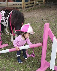 450K views · 4.7K reactions | A full length video featuring the world's most patient pony and the most determined 1yr old! #verityandnoodles #bestpony #showjumping #sponsoredrider #brandambassador #pink www.minihorsesales.co.uk #shetlandpony | The Pony Pals Family Storybooks | Facebook