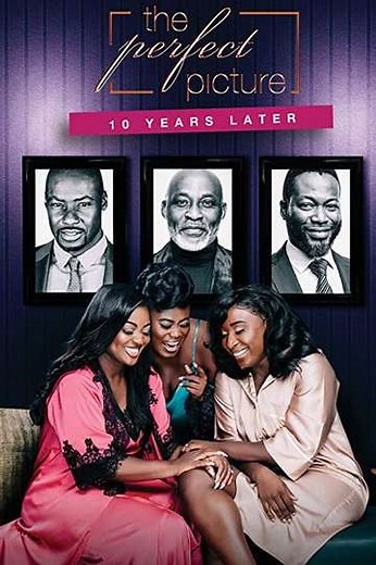 The Perfect Picture: Ten Years Later - Movie
