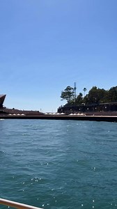 On the ferry to Watsons Bay from Circular Quay. ☀️ #sydneyferries #watsonsbay #circularquaysydney | Sydney Uncovered
