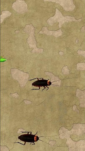 Cat Games for Cat | Mouse, lizard and Cockroach for cats | Cat Games 3D #animation #cat