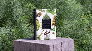 A magnificently illustrated guide to the bryophyte species found across the world. Mosses, Liverworts, and Hornworts of the World by Joanna Wilbraham is out now. Learn more and order your copy of this fascinating book: https://hubs.ly/Q03BQlrB0 Bryophytes are a highly diverse group of plants found in nearly all parts of the world and across a range of habitats. The term “bryophyte” describes plants of three closely related lineages: the mosses, liverworts, and hornworts. Ancient in their makeup,