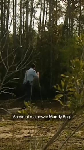 Bear Grylls OBE on Instagram: "If you fall into a sinkhole, every second counts. The key? Don't thrash around - that makes a life-threatening situation worse. Spread your body weight, stay calm, and carefully work your way back to solid ground. Knowledge like this can be the difference between life and death."