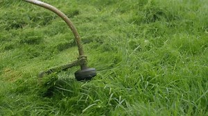 Grass Strimmer Cutting Grass Slow Motion Stock Footage Video (100% Royalty-free) 1010319506 | Shutterstock