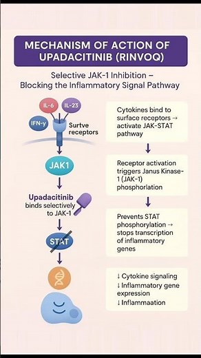 “Upadacitinib: The JAK Attack Against IBD 🔬🔥” #education #pharmcology #recent