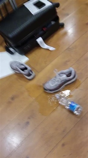 Bay City Rollers on Reels