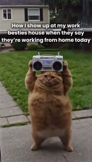 What working from home changed about team collaboration revealed about productivity