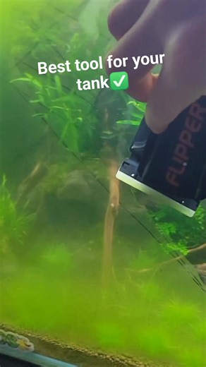 70K views · 167 reactions | One of my go-to tools for pretty much any aquarium ✅️ check the comments ⬇️ #fish #nature #clean #cleaningtips #aquarium | Aquapros | Facebook
