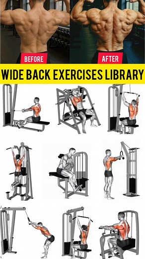 COBRA BACK EXERCISES CHART | Azra Fitness