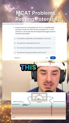 Cell membrane resting potential comes from what?