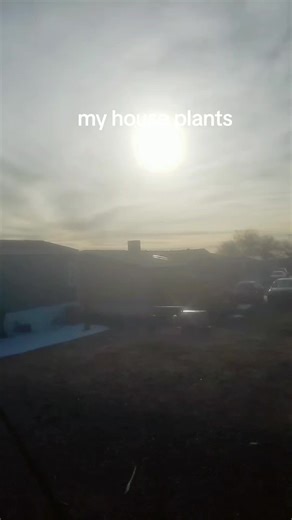 🇵🇸offical grumpy bear🇵🇸 (@officalgrumpybear5)’s videos with original sound - Timeless Moments Clocks