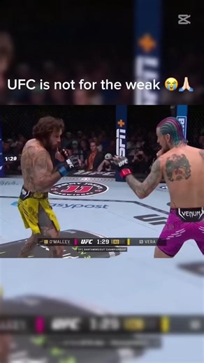 O’Malley was going crazy in the 2nd and 3rd clips 😭 #ufc #funny #mma #knockout #fighter