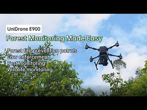 Forest Monitoring Made Easy: How Drone Improve Forest Patrols
