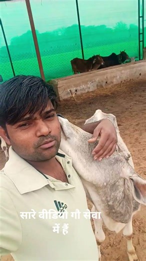 #जय गौ माता 🙏