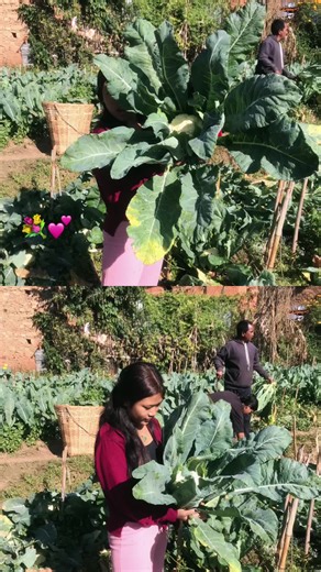 #hebuymeaflower 😆 🤪💕 @🌸 @manu😘💓🦁 yad hola ni 😝❤️