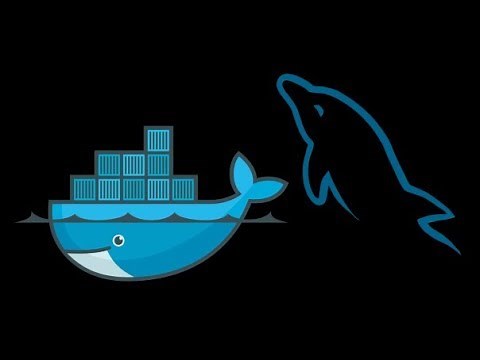 How To Create And Test MySQL Database Server in Docker On Ubuntu Linux