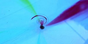 Finally an answer to the toilet swirl question