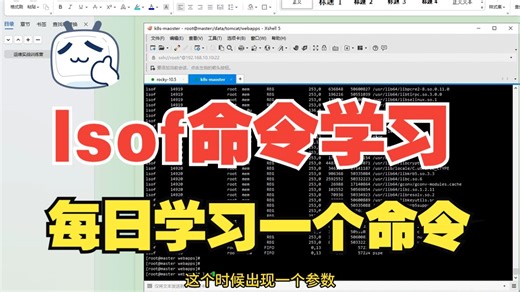 Linux运维 lsof命令学习