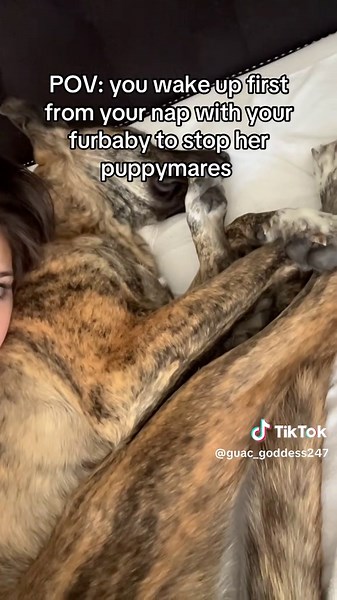 I can’t handle the wee twitches 😭