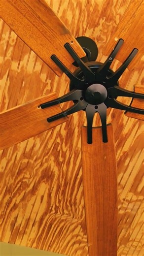 Carpenter Bees Chewing Holes In My Fan Blades