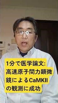 高速 AFM で撮影された混合サブユニット CaMKIIα/β ヘテロ十二量体の構造ダイナミクス。Nature communications. 2025 Dec 24;16(1);10603.