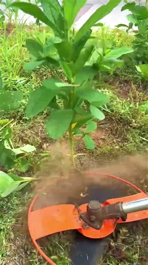 Cut Weeds Without Harming Plants! 🌿 Genius Brush Cutter Trick
