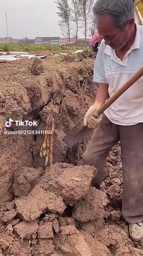 Digging and Extracting Roots: A Complete Guide