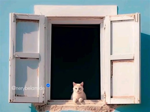 sanctuary - Joji | Lyrics Vibes