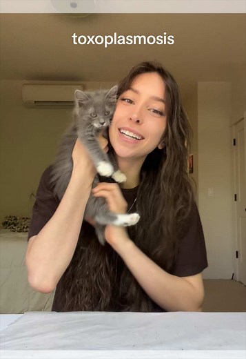 are you infected? info from Ted Ed youtube videos #foster #cat #funfact #catsoftiktok #cute